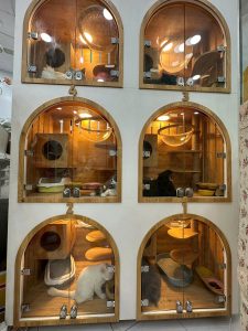 z7392994535320_430234467ba6aac734214c98a2f4a19e