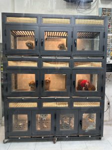 z7392994543010_2f7c32885c46f449e5f37bb80e37376c