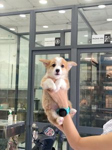 z7657659855222_2fc867ed9a6b97d083753ec0df040f80