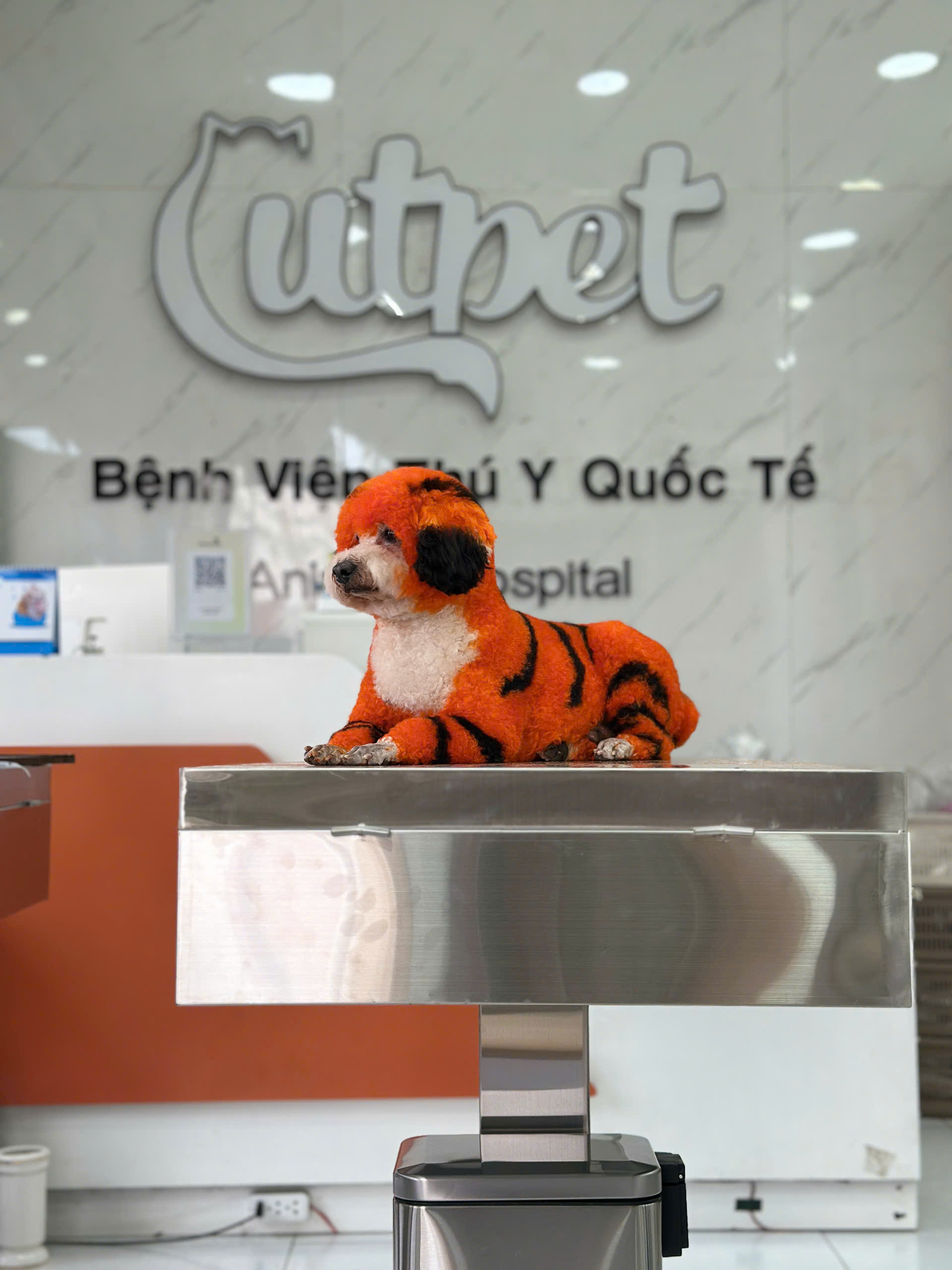 z7657659856012_cb4fe80cfa04072e6d6b097ffcfe5d86