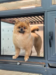 z7657659861981_4b72871de4c7832221f7ca8d6172c16f